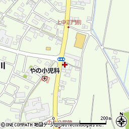 栃木県河内郡上三川町上三川3466-8周辺の地図