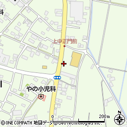 栃木県河内郡上三川町上三川3498周辺の地図