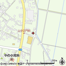 栃木県河内郡上三川町上三川3309周辺の地図