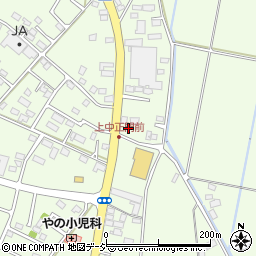 栃木県河内郡上三川町上三川3310-2周辺の地図