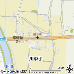 川中子周辺の地図