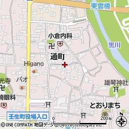 栃木県下都賀郡壬生町通町周辺の地図