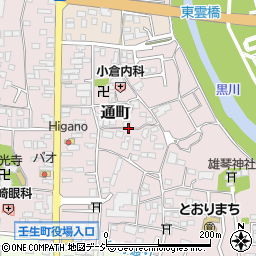 栃木県壬生町（下都賀郡）通町周辺の地図