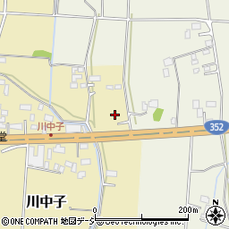 栃木県河内郡上三川町川中子65周辺の地図