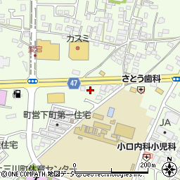 栃木県河内郡上三川町上三川4389周辺の地図