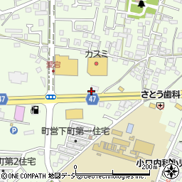 栃木県河内郡上三川町上三川4751周辺の地図