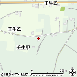 栃木県下都賀郡壬生町藤井2031-5周辺の地図