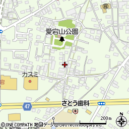 栃木県河内郡上三川町上三川4766周辺の地図