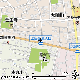 栃木県下都賀郡壬生町大師町14-25周辺の地図