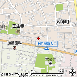 栃木県下都賀郡壬生町大師町14-17周辺の地図