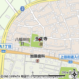 栃木県下都賀郡壬生町大師町53-16周辺の地図