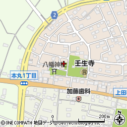 栃木県下都賀郡壬生町大師町52周辺の地図