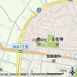 栃木県下都賀郡壬生町大師町51-8周辺の地図