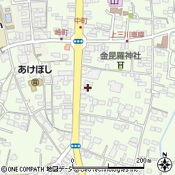 栃木県河内郡上三川町上三川4953-1周辺の地図