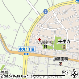 栃木県下都賀郡壬生町大師町51-11周辺の地図