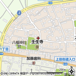 栃木県下都賀郡壬生町大師町53-9周辺の地図