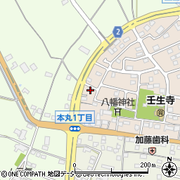 栃木県下都賀郡壬生町大師町13-32周辺の地図