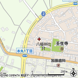 栃木県下都賀郡壬生町大師町51-2周辺の地図