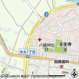 栃木県下都賀郡壬生町大師町51-1周辺の地図