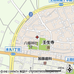 栃木県下都賀郡壬生町大師町49-8周辺の地図