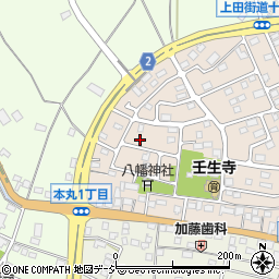 栃木県下都賀郡壬生町大師町49-13周辺の地図