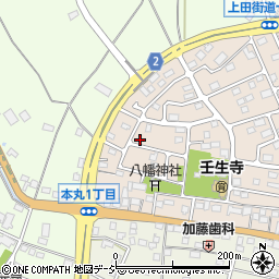 栃木県下都賀郡壬生町大師町49-15周辺の地図