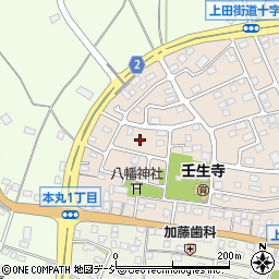 栃木県下都賀郡壬生町大師町49周辺の地図