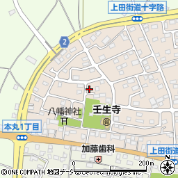 栃木県下都賀郡壬生町大師町53-28周辺の地図