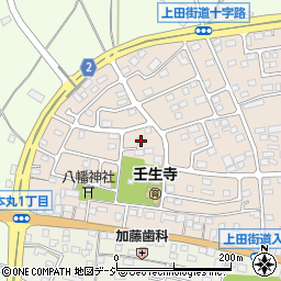 栃木県下都賀郡壬生町大師町53-26周辺の地図