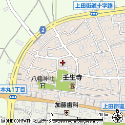 栃木県下都賀郡壬生町大師町53-27周辺の地図