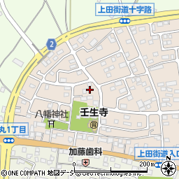 栃木県下都賀郡壬生町大師町53-6周辺の地図