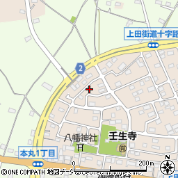 栃木県下都賀郡壬生町大師町47-4周辺の地図