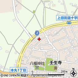 栃木県下都賀郡壬生町大師町46-15周辺の地図