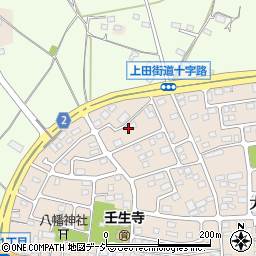 栃木県下都賀郡壬生町大師町44周辺の地図