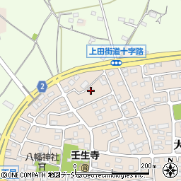 栃木県下都賀郡壬生町大師町44-6周辺の地図