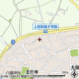 栃木県下都賀郡壬生町大師町44-11周辺の地図