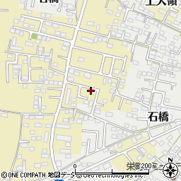 栃木県下野市上大領301周辺の地図