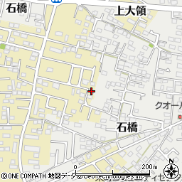 栃木県下野市上大領303周辺の地図