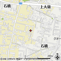 栃木県下野市上大領303-3周辺の地図