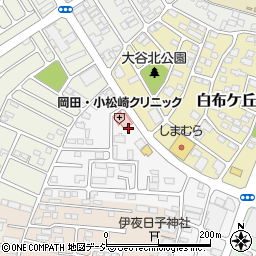 岡田・小松崎クリニック周辺の地図