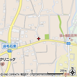 群馬県前橋市鼻毛石町739周辺の地図