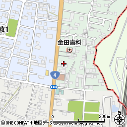 栃木県下野市下古山16-2周辺の地図