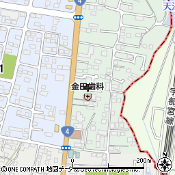 栃木県下野市下古山16-30周辺の地図