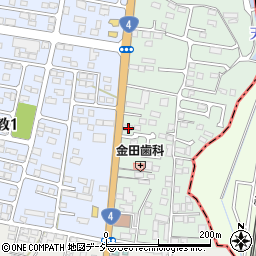 栃木県下野市下古山18-13周辺の地図