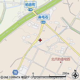 群馬県前橋市鼻毛石町43周辺の地図