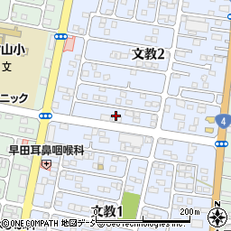 栃木県下野市文教2丁目2周辺の地図