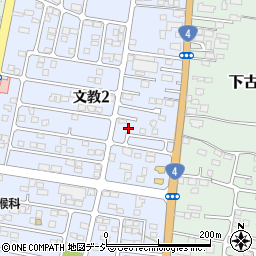 栃木県下野市文教2丁目15周辺の地図