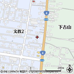 栃木県下野市文教2丁目269周辺の地図