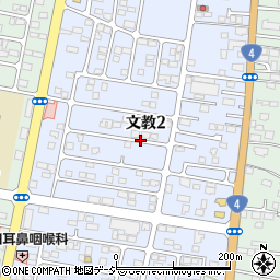 栃木県下野市文教周辺の地図