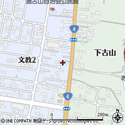 栃木県下野市文教2丁目268周辺の地図